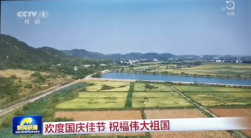 上央视-海洋之神五彩稻田画，助力乡村振兴